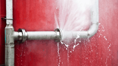 How to transform leads into opportunities: a tale for your sales – Gray Matters