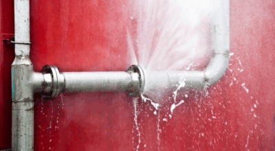 How to transform leads into opportunities: a tale for your sales – Gray Matters