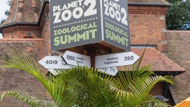 Circle Agency brings Planet Zoo 2 to life at Chester Zoo